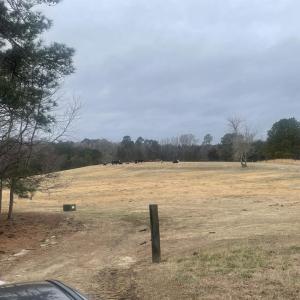 20241209183131323565000000-o