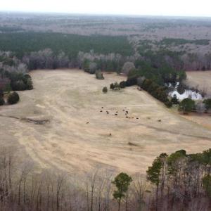 20241209183113409829000000-o