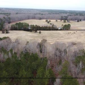 20241209183132743148000000-o