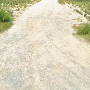 Screenshot_20260220_124129_Maps(1)