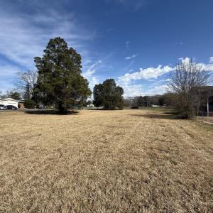 Rear View towards Duke St