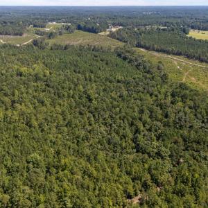 7-web-or-mls-DJI_20230826115715_0354_D