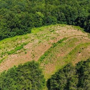 13-Amy 1734 NC 61-10