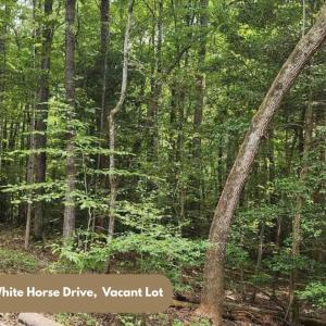 111 White Horse Drive, Vacant Lot