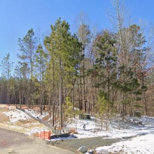 Corner of lot 100 - snow