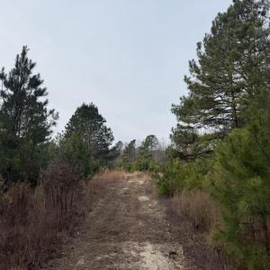 DE8D63EA-FCEE-41D3-B12D-38D169F81DDB_1_1