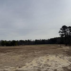 E3BD7A04-194A-45C1-81C8-AFA484AF04E5_1_1