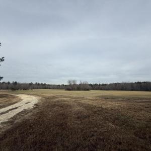 E8E74929-8A5B-4D1C-8ED6-74AE74F73AAD_1_1