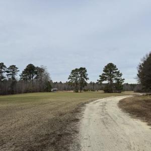 A87A0A77-AEE2-42C4-A04C-A377E87115EE_1_1