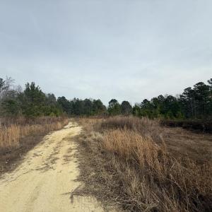 FBAF6933-9FFD-4962-BC1E-06D46EB82C63_1_1