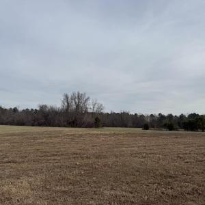 1D0B47D5-9368-4AA1-B54B-E2A97FDBE095_1_1