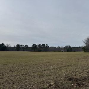 2C8FFAEF-5E3A-4795-8E02-C78F0A8FE04C_1_1