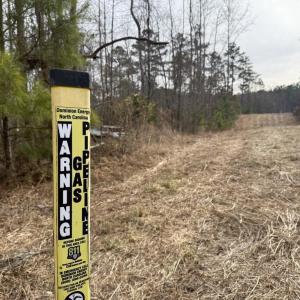 DF4ABFB2-B9E8-4E62-85F2-F7E23DB693DB_1_1