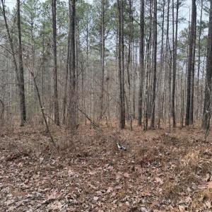 9621A7A1-5E15-4F3F-8436-DB499F2CC829_1_1