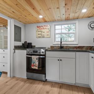 Gorgeous New Quartz Counters!