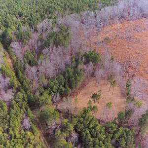 15-NW Corner POV out