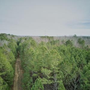 16-NW Corner POV Tree Level Alt1