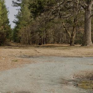 20-Road East Facing - site is down the t