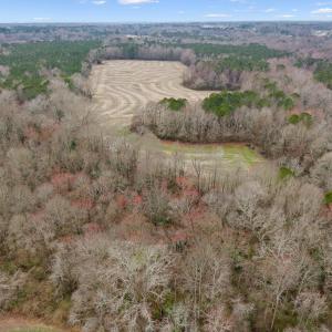 43-536 White Oak Rd pt.2 _ (28)