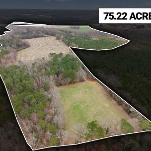 1-536-White-Oak-Rd-pt.2-24-LotLines