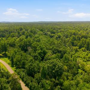 Photo #2 of Lot 11 Gallant Fox, Chapel Hill, NC 2.8 acres