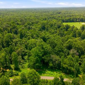 Photo #1 of Lot 11 Gallant Fox, Chapel Hill, NC 2.8 acres
