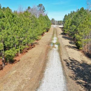 DJI_0636