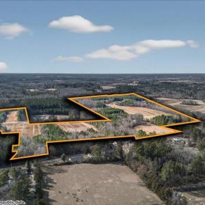 01-DJI_20260214150848_0214_D