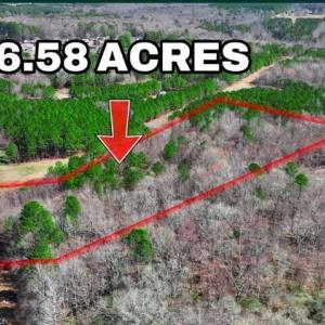 Screenshot 2026-03-04 084828