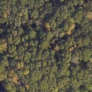 Screenshot 2024-05-17 at 10.51.31PM