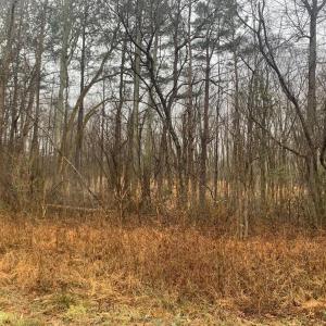 r chap road view into lot 1