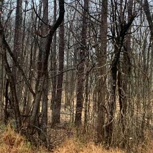 r chap road view into lot3