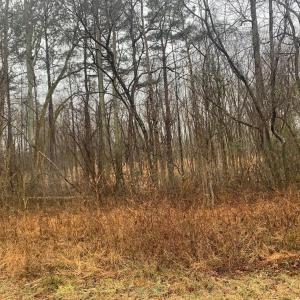 r chap ext lot1