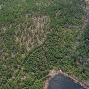 DJI_0181