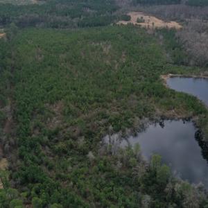 DJI_0154