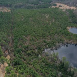 DJI_0160