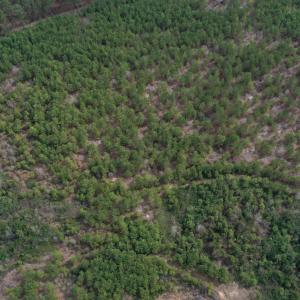 DJI_0173