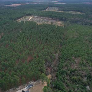 DJI_0155
