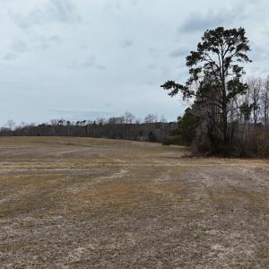 dji_fly_20260218_164400_0024_17714520584