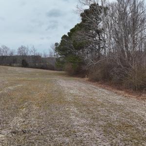 dji_fly_20260218_164430_0027_17714520576