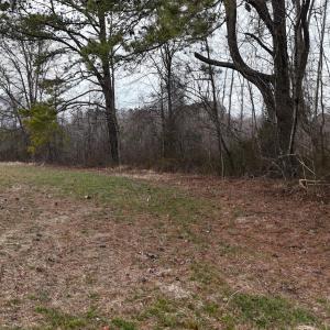 dji_fly_20260218_164454_0028_17714520573