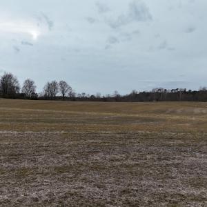 dji_fly_20260218_164340_0022_17714520590