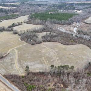 dji_fly_20260218_163628_0005_17714520654