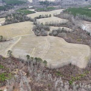 dji_fly_20260218_163720_0007_17714520648