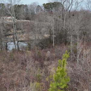 dji_fly_20260218_164838_0046_17714520510