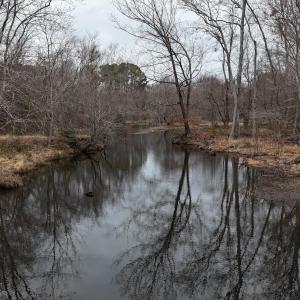 dji_fly_20260218_164640_0036_17714520547