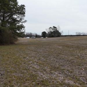 dji_fly_20260218_164510_0029_17714520569