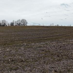 dji_fly_20260218_164516_0030_17714520566