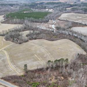 dji_fly_20260218_163622_0004_17714520629