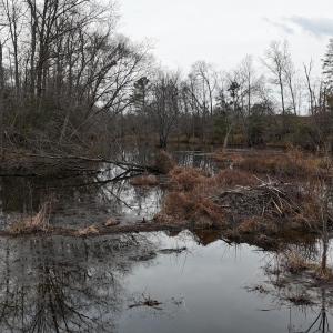 dji_fly_20260218_164650_0038_17714520540